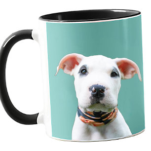 Caneca Sua Foto de Cachorro Personalizada de Cores Dotou 