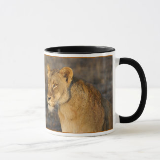 Caneca Sul - leão africano