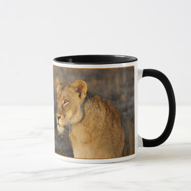 Caneca Sul - leão africano (Direita)