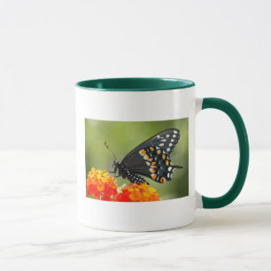 Caneca Swallowtail preto