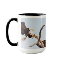 SWFEC obtêm a ação próxima (as várias opções