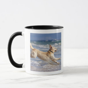 Caneca tarifa, cadiz, a Andaluzia, espanha