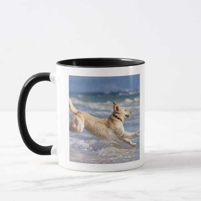 Caneca tarifa, cadiz, a Andaluzia, espanha (Esquerda)