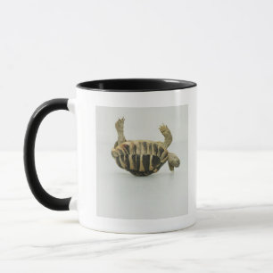 Caneca Tartaruga de cabeça para baixo, equilibrando no