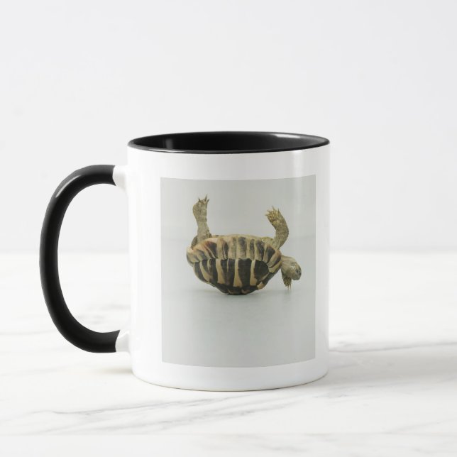 Caneca Tartaruga de cabeça para baixo, equilibrando no (Esquerda)