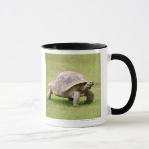 Caneca Tartaruga gigante que anda na grama