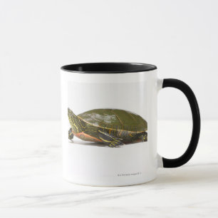 Caneca Tartaruga pintada ocidental (bellii do picta do