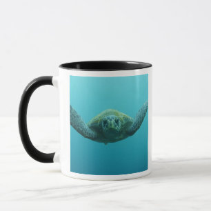 Caneca Tartaruga Verde (Chelonia mydas agassisi), Central