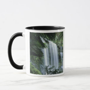 Caneca Tasmânia, Parque Nacional Mt. Field, Russell Falls