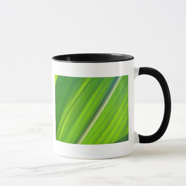 Caneca Tasse hellgrünes Maisblattdesign (Direita)