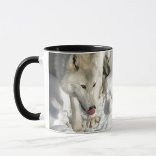 Caneca Tempo de janto