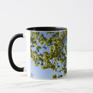 Caneca tempo de primavera, árvore contra céu aberto