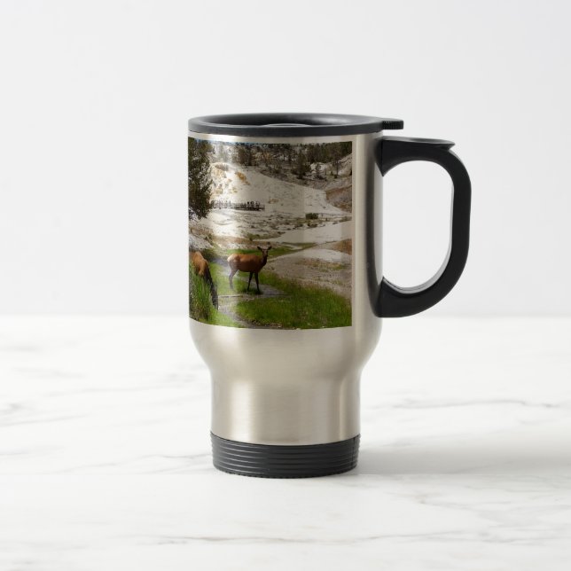Caneca Térmica Alces em Mammoth Hot Springs (Direita)