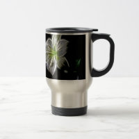 Beleza natural da flor branca
