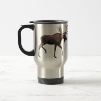 Bull Moose