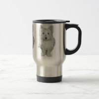 Cão bonito de Westie