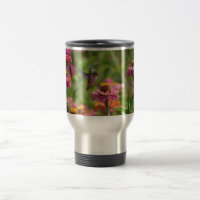 Colibri com Zinnias