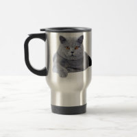gato-do-mato-pequeno