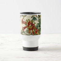 Hummingbird Ruby Throbon Audubon