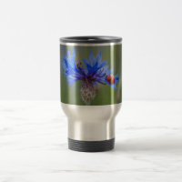Joaninha numa centáurea azul
