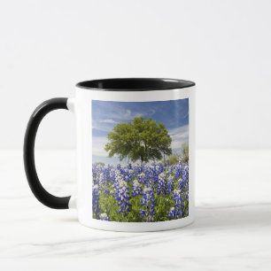 Caneca Texas bluebonnets(lupinus texensis) e carvalho