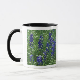 Caneca Texas, Lago Buchanan. Texas Bluebonnet e Selvagem
