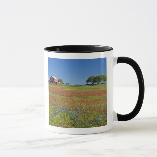 Caneca Texas, Texas Hill Country, pincel de Texas (Direita)