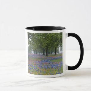 Caneca Texas, Texas Hill Country, pincel de Texas e