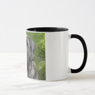 Caneca Thor Mastiff
