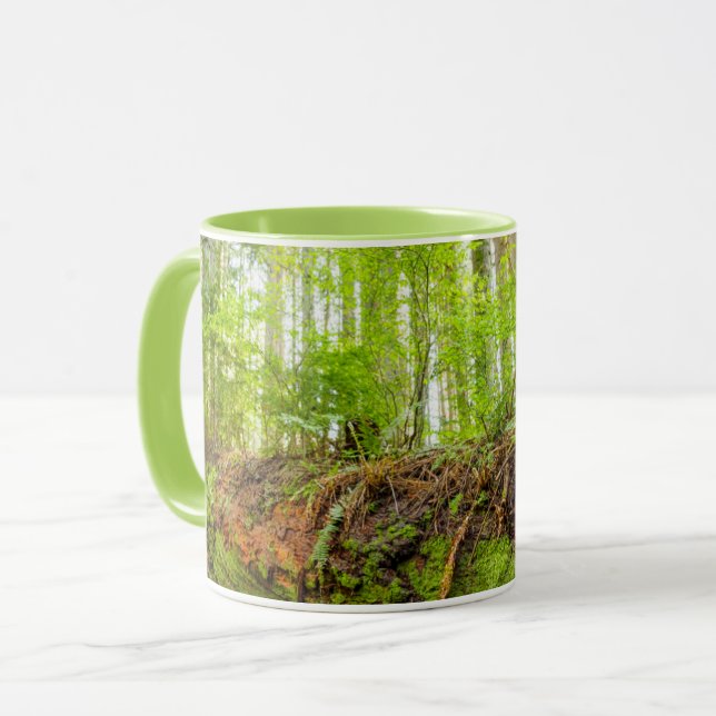 Caneca Tiger Mountain | Issaquah, Estado de Washington (Frente Esquerda)