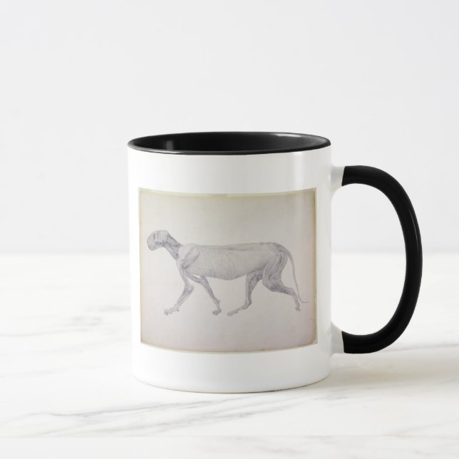 Caneca Tigre de George Stubbs |: Vista lateral, (Direita)