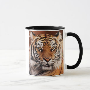 Caneca Tigre-de-sumatra