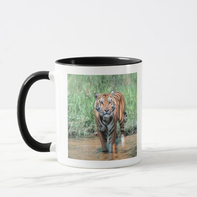 Caneca Tigre na água (Esquerda)