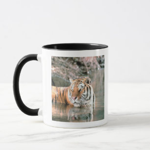 Caneca Tigre no córrego