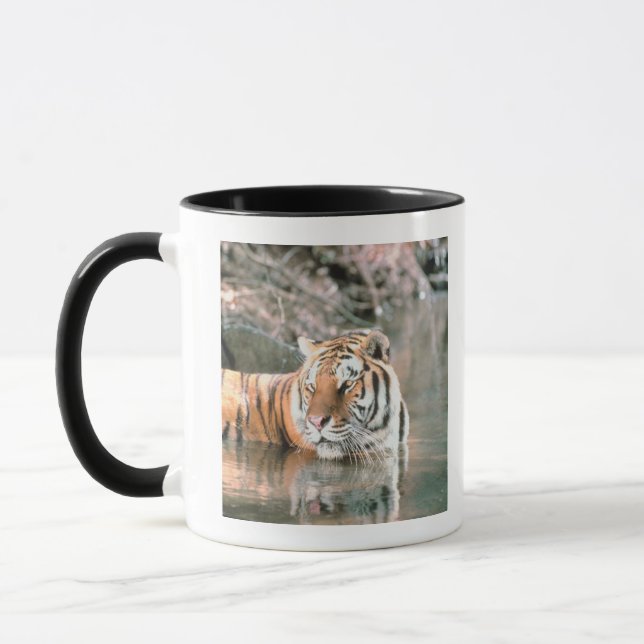 Caneca Tigre no córrego (Esquerda)