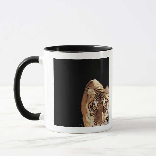 Caneca Tigre (Panthera tigris) (Esquerda)