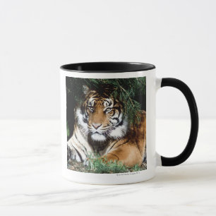 Caneca Tigre que aprecia a máscara