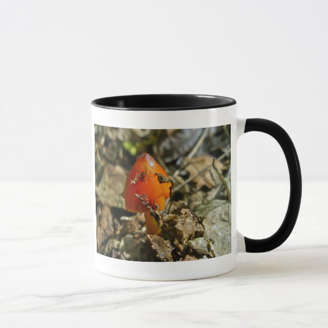 Caneca Tiny Amberina Cone Boné Mushroom (Direita)