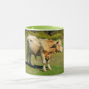 Caneca Touro na Madeira