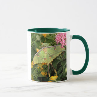 Caneca traça verde
