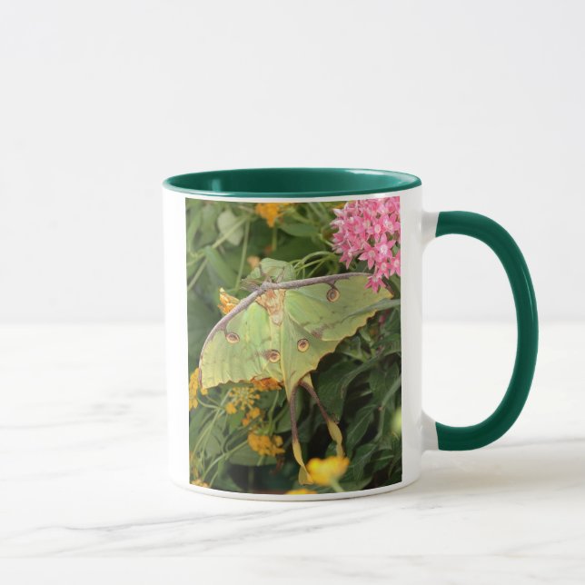 Caneca traça verde (Direita)