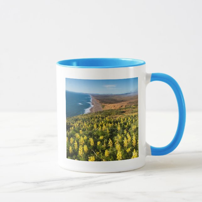 Caneca Tremoceiro Amarelo Acima da Praia de Point Reyes (Direita)