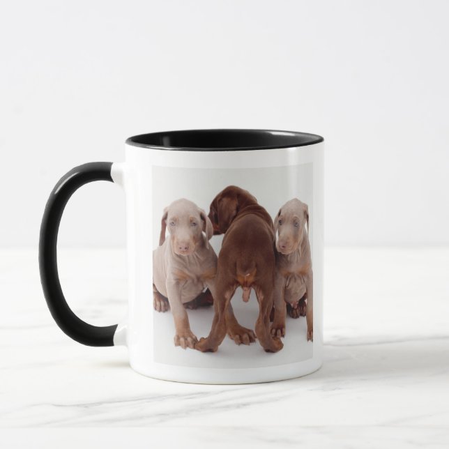 Caneca Três filhotes de cachorro do pinscher do Doberman (Esquerda)