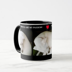 Caneca Três fotos bonitas de um lindo cachorro branco pr