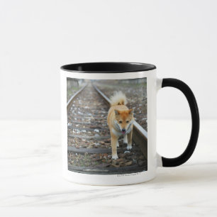 Caneca Trilha de passeio do cão