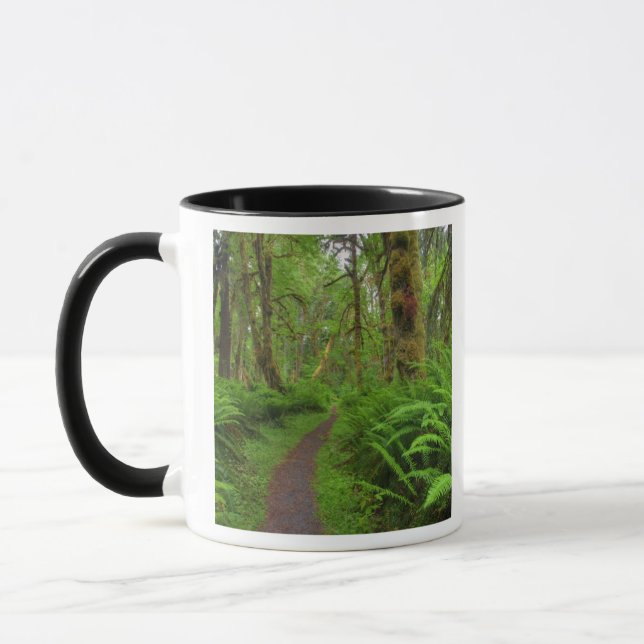 Caneca trilha Maple Glade, samambaias e musgo cobertos (Esquerda)