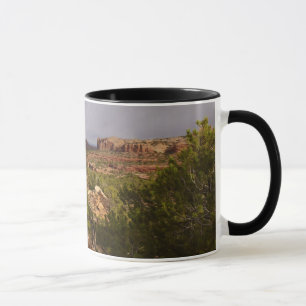 Caneca Trilha Neck Springs no Parque Nacional Canyonlands