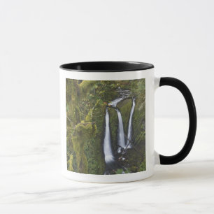 Caneca Triple Falls, Garganta do Rio Columbia