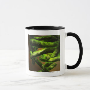 Caneca Tuberculose de Mycobacterium
