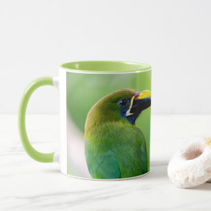 Caneca Tucanete-esmeralda-do-norte na Costa Rica